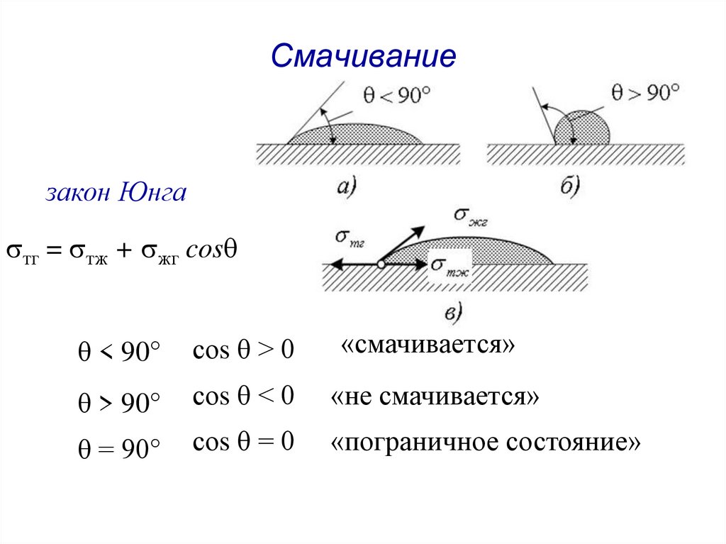 Смачивание