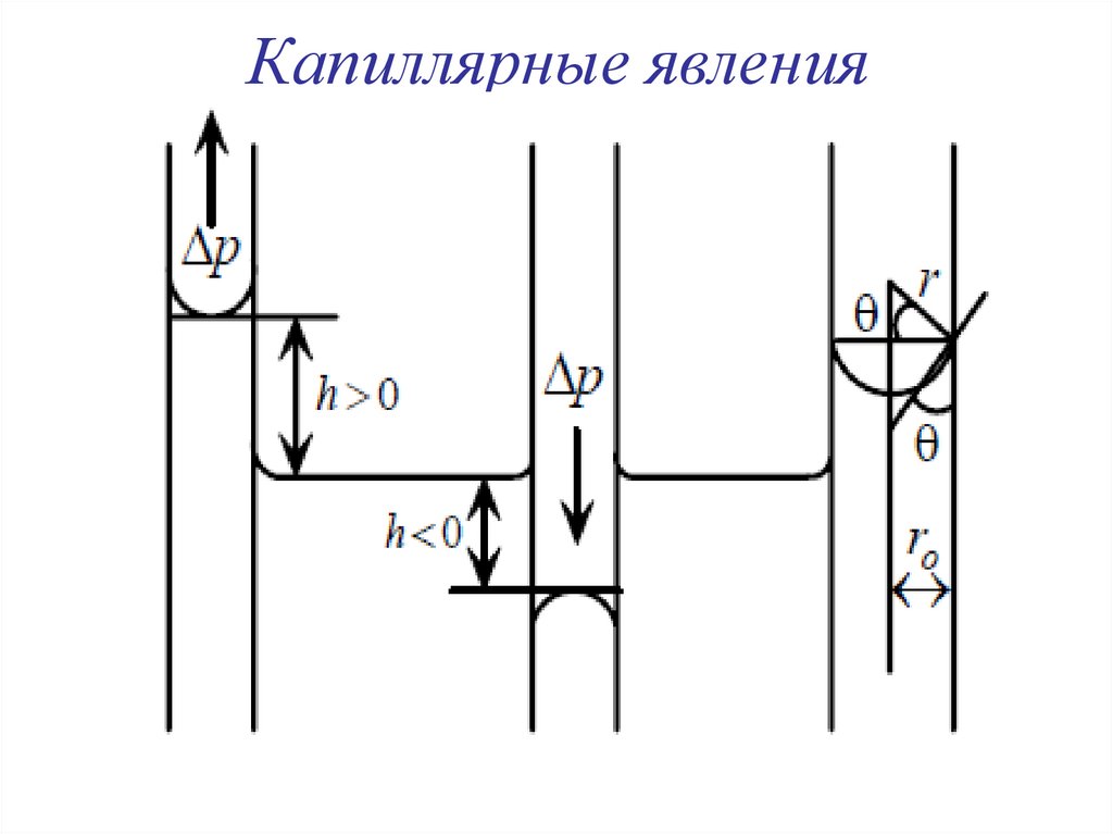 Капиллярные явления
