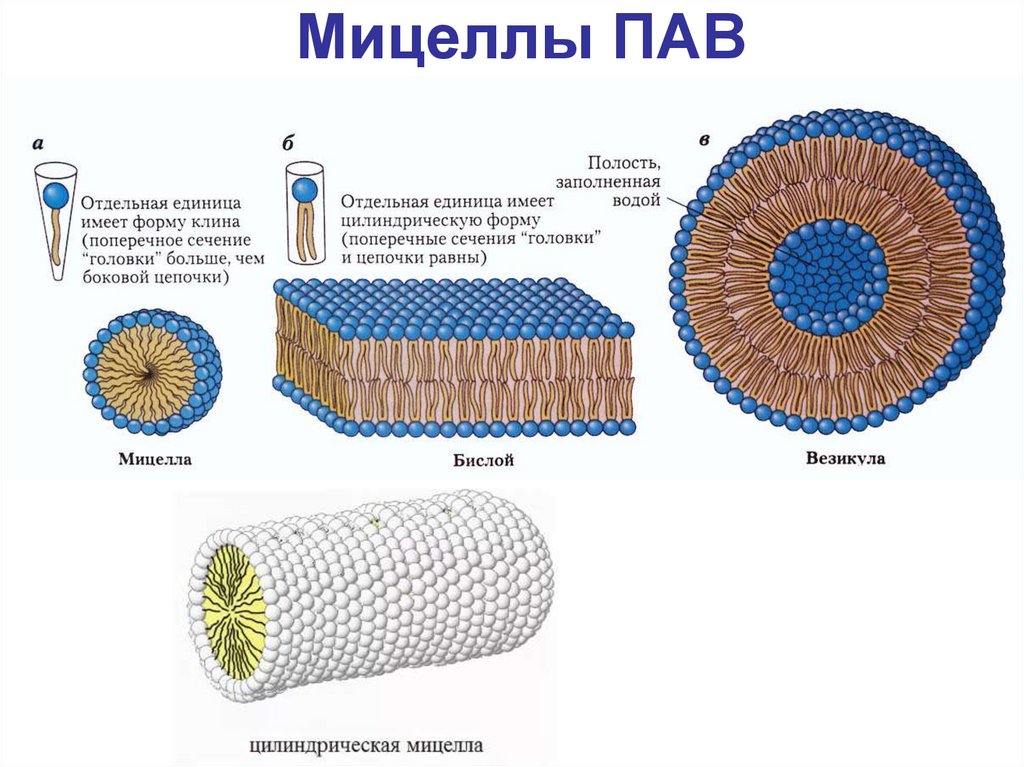 Мицеллы ПАВ