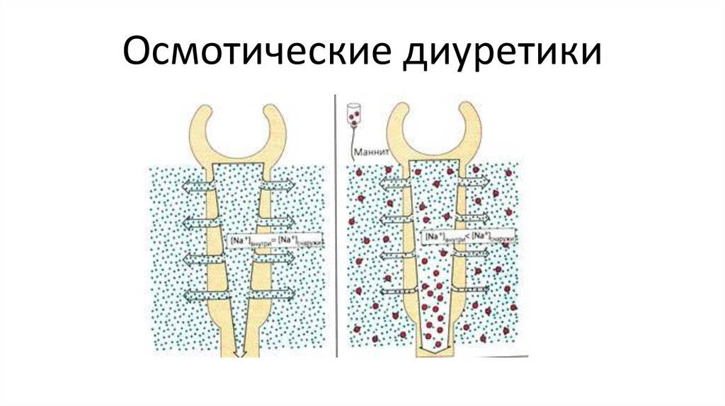 Осмотические диуретики