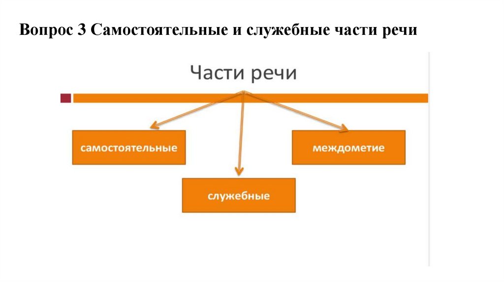 Вопрос 3 Самостоятельные и служебные части речи
