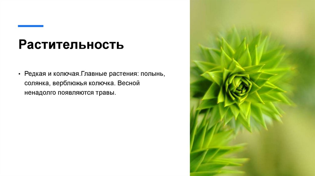 Растительность