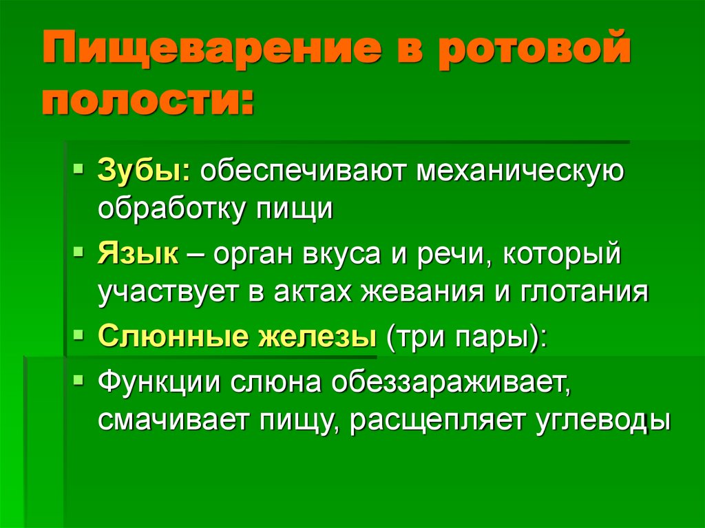 Пищеварение в ротовой полости: