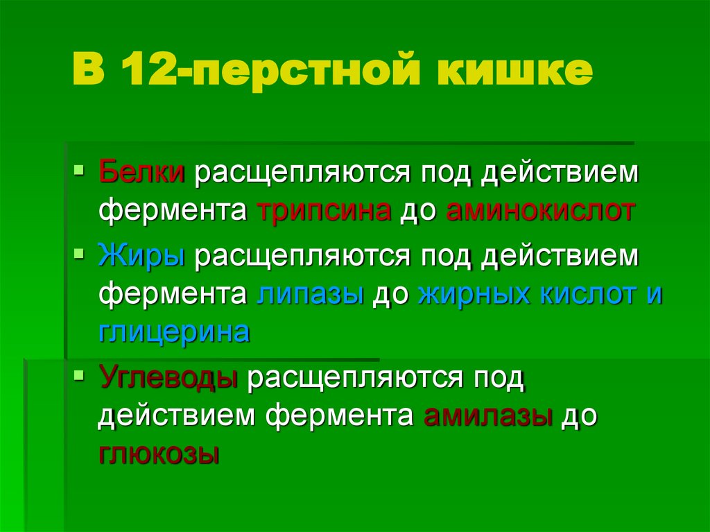 В 12-перстной кишке