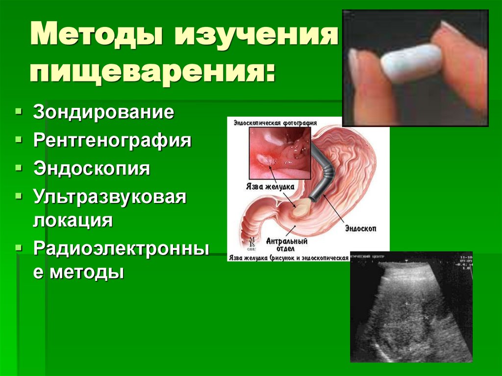 Методы изучения пищеварения: