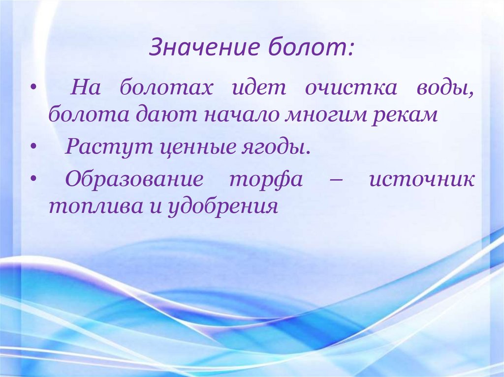 Значение болот: