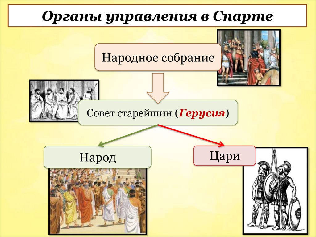 Органы управления в Спарте