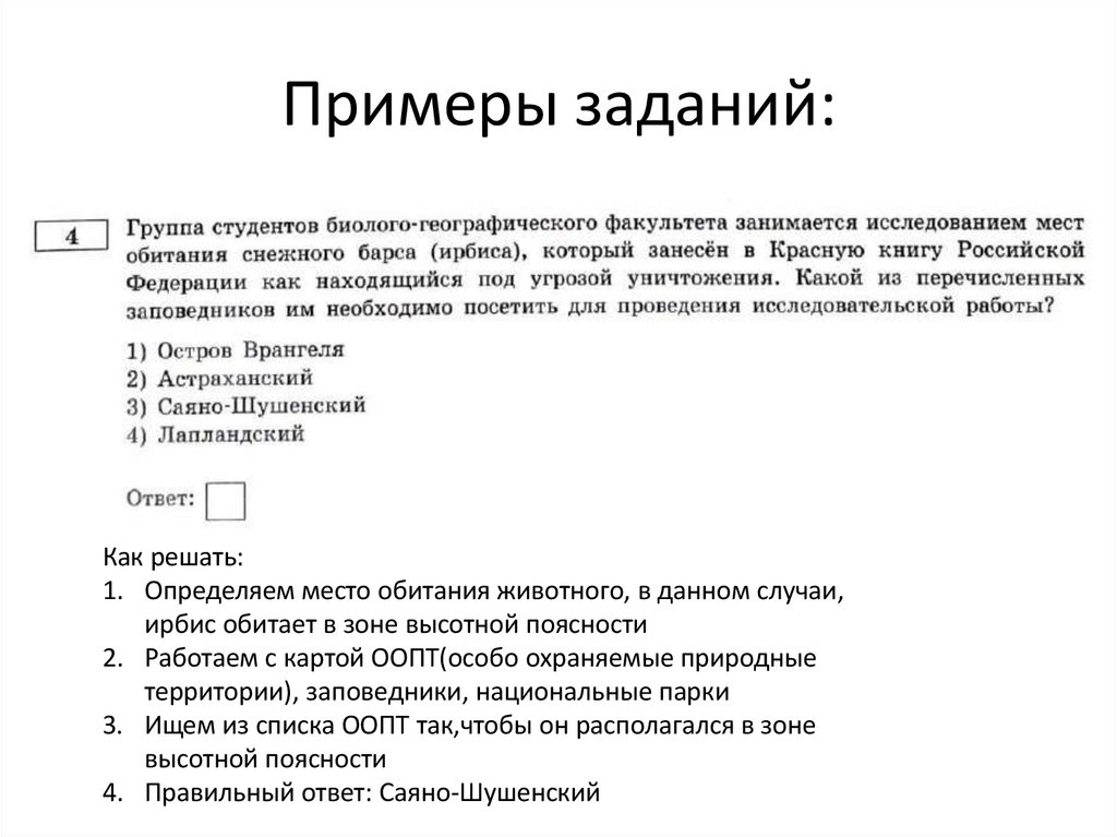 Примеры заданий: