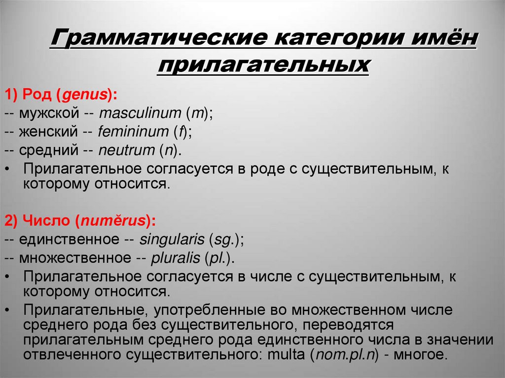 Грамматические категории имён прилагательных