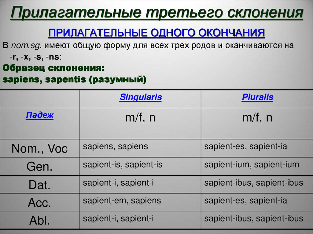 Прилагательные третьего склонения