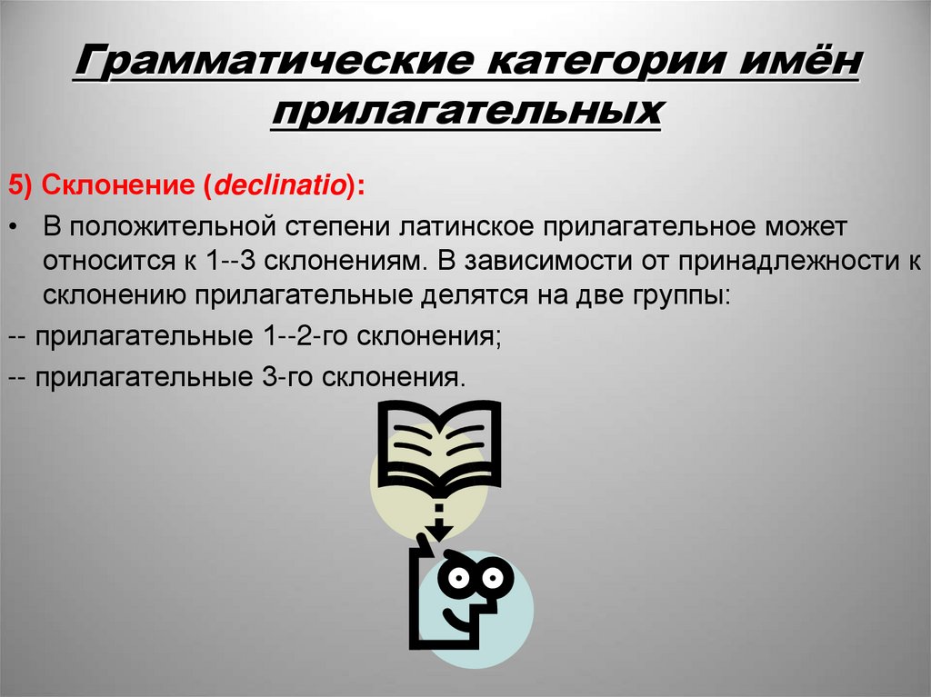 Грамматические категории имён прилагательных