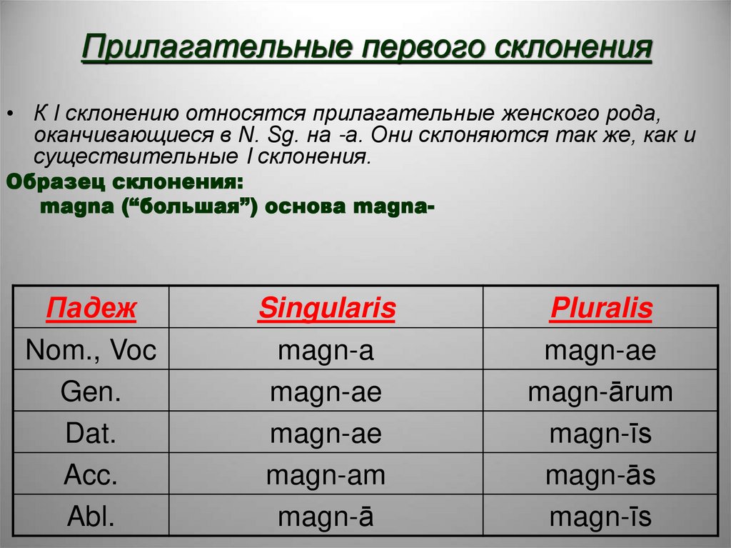 Прилагательные первого склонения
