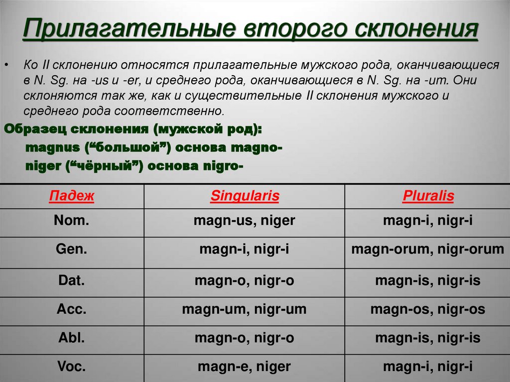 Прилагательные второго склонения