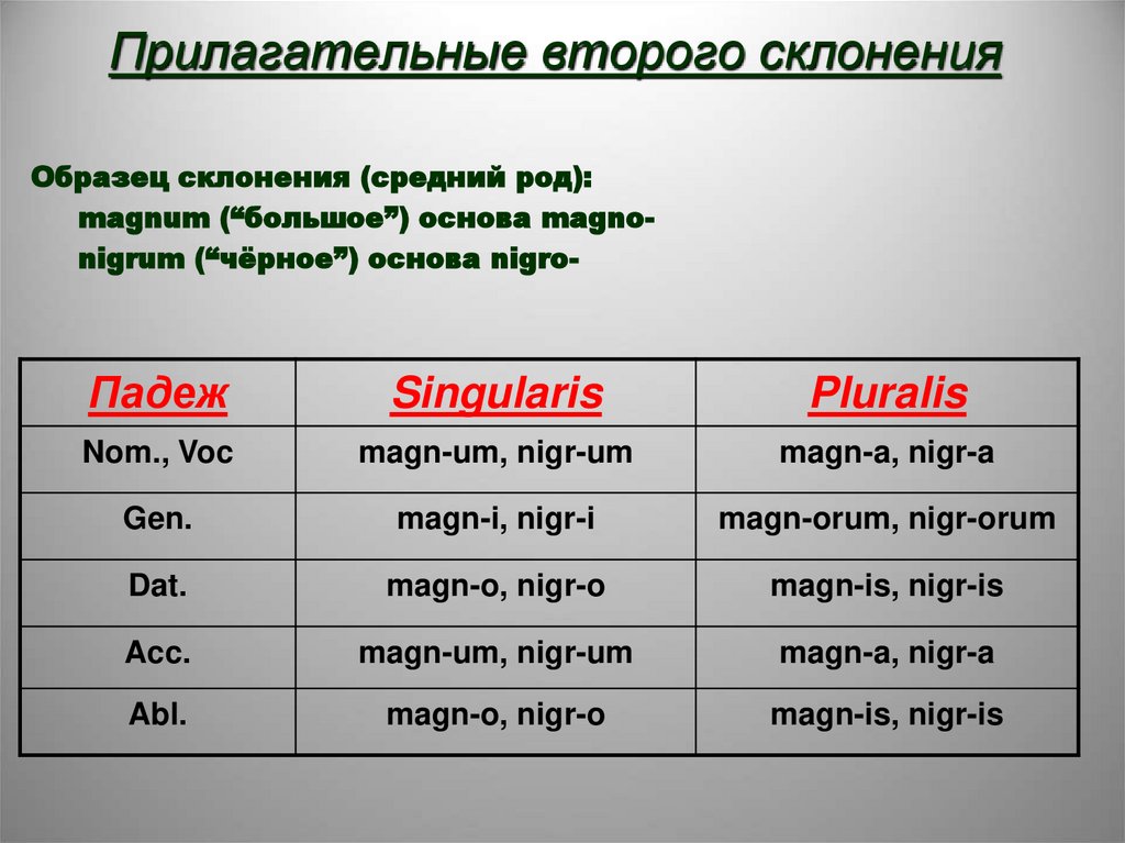 Прилагательные второго склонения