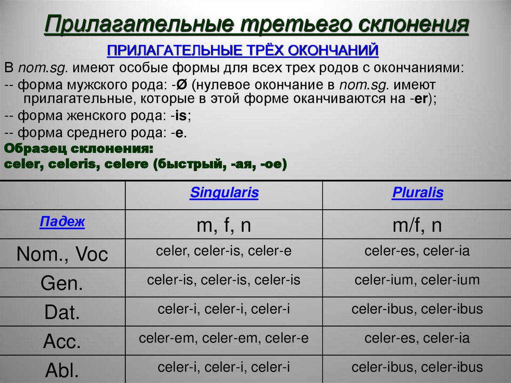 Прилагательные третьего склонения