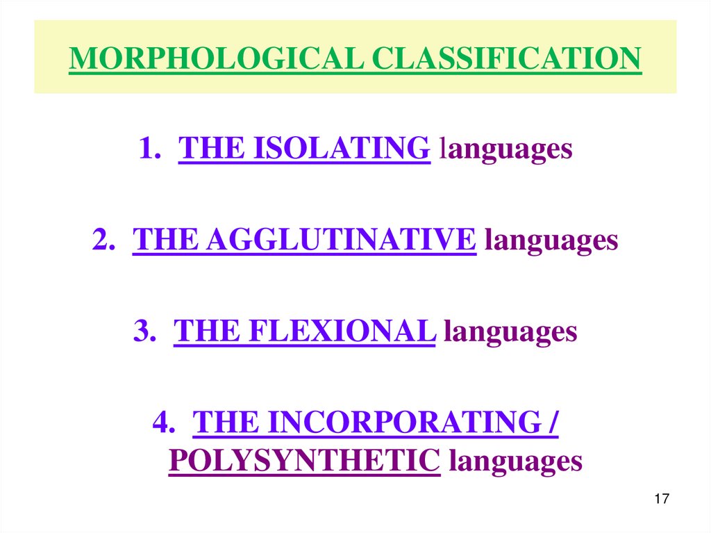 MORPHOLOGICAL CLASSIFICATION
