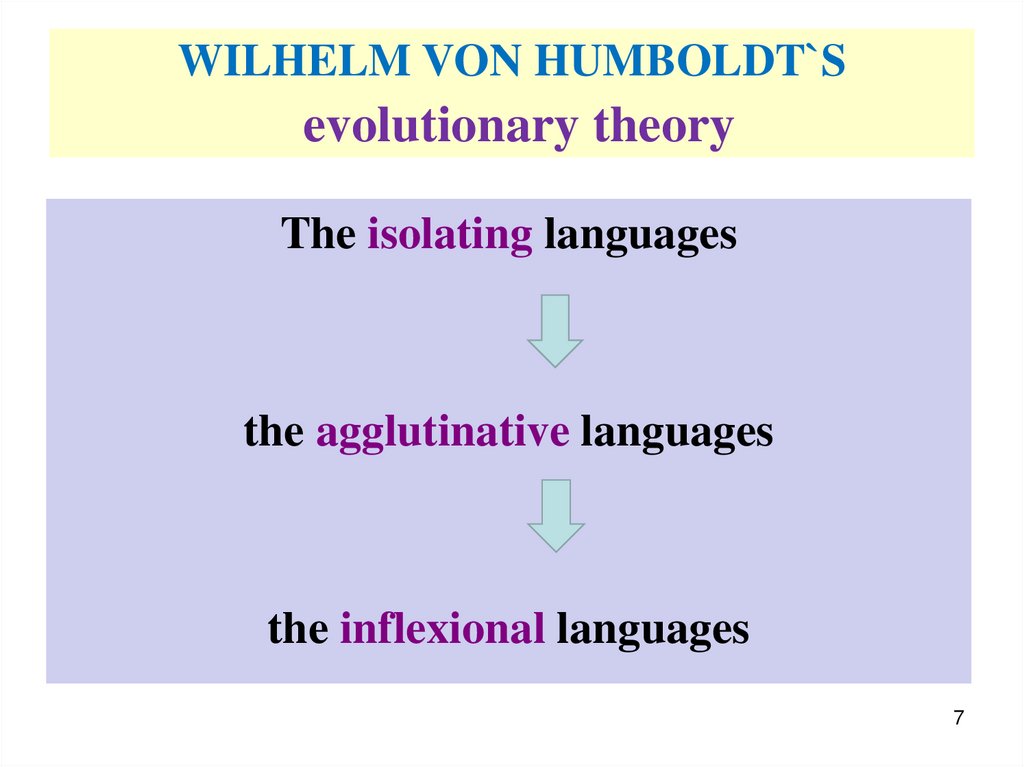 WILHELM VON HUMBOLDT`S evolutionary theory