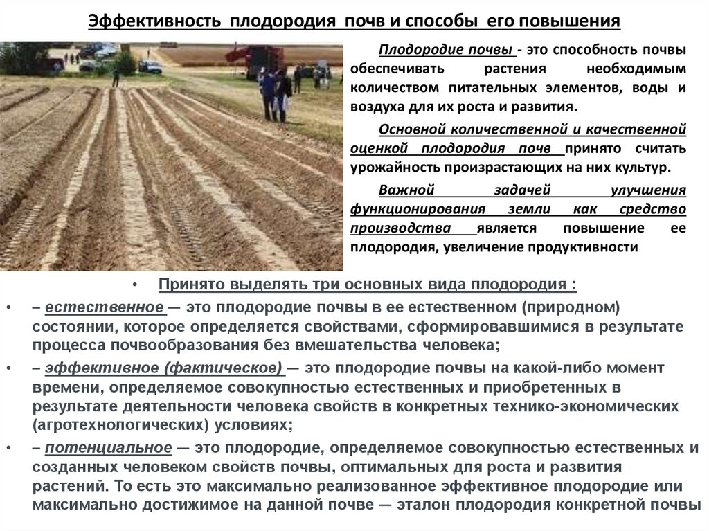 Эффективность плодородия почв и способы его повышения