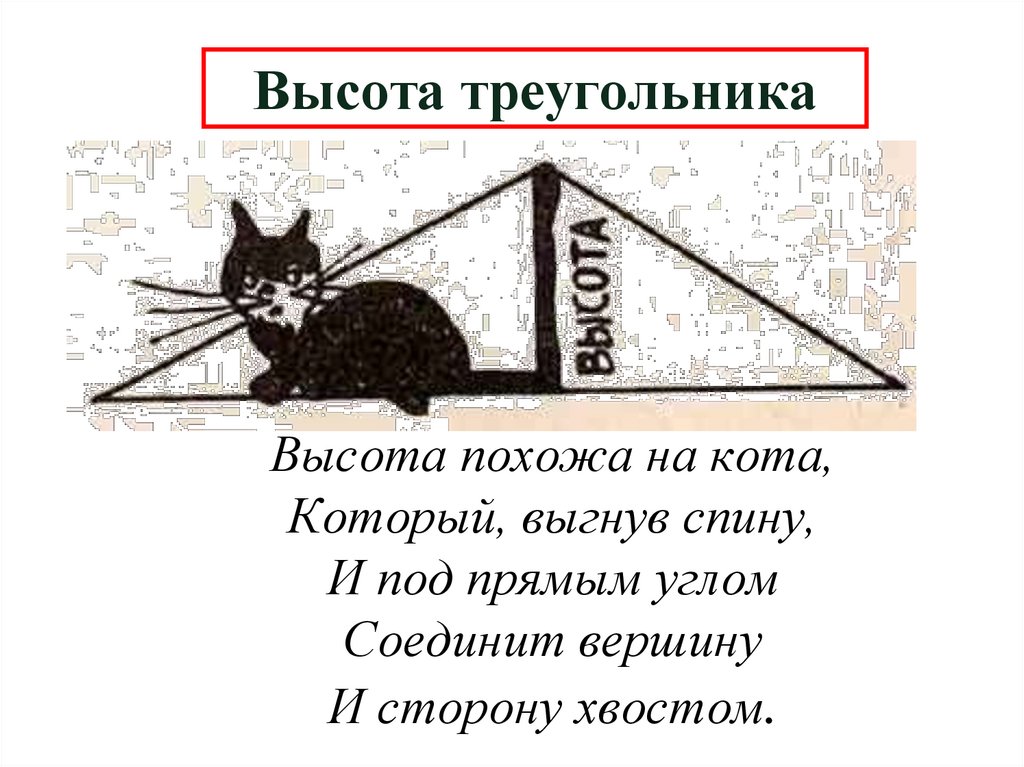 Высота треугольника
