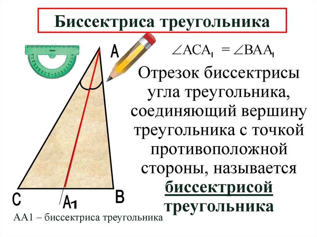 Биссектриса треугольника