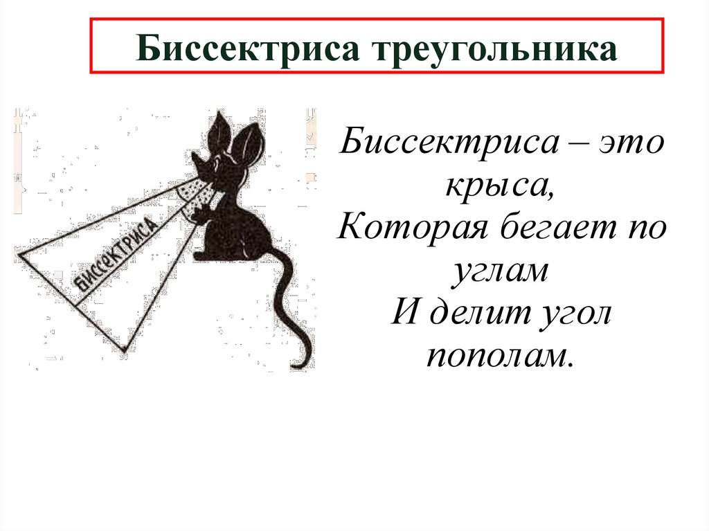 Биссектриса треугольника