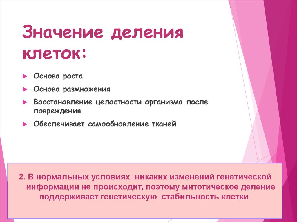 Значение деления клеток: