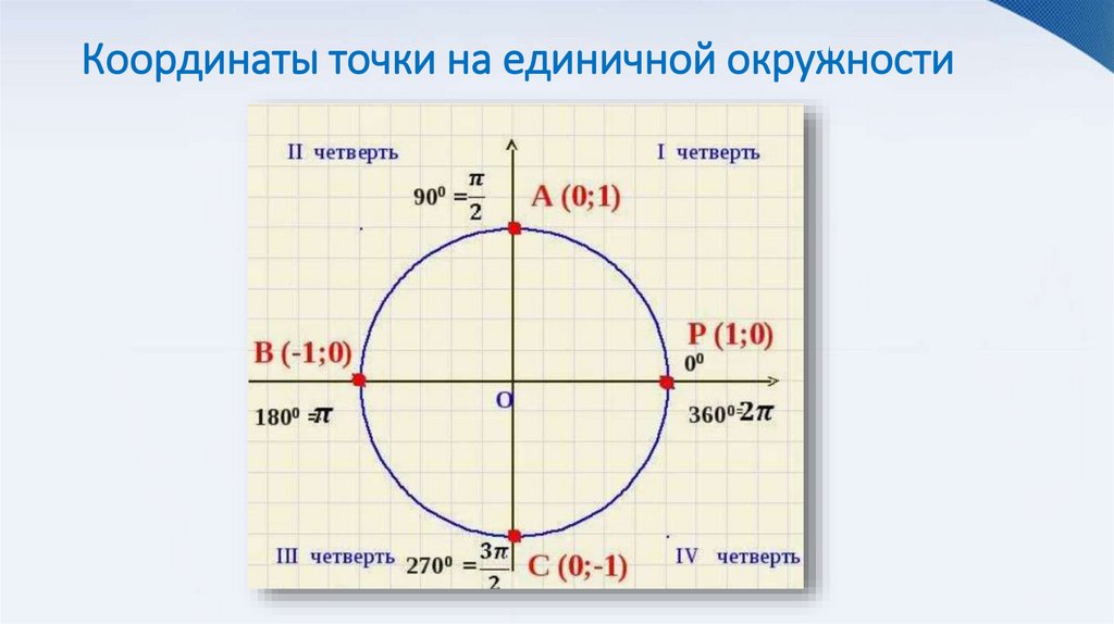 Координаты точки на единичной окружности
