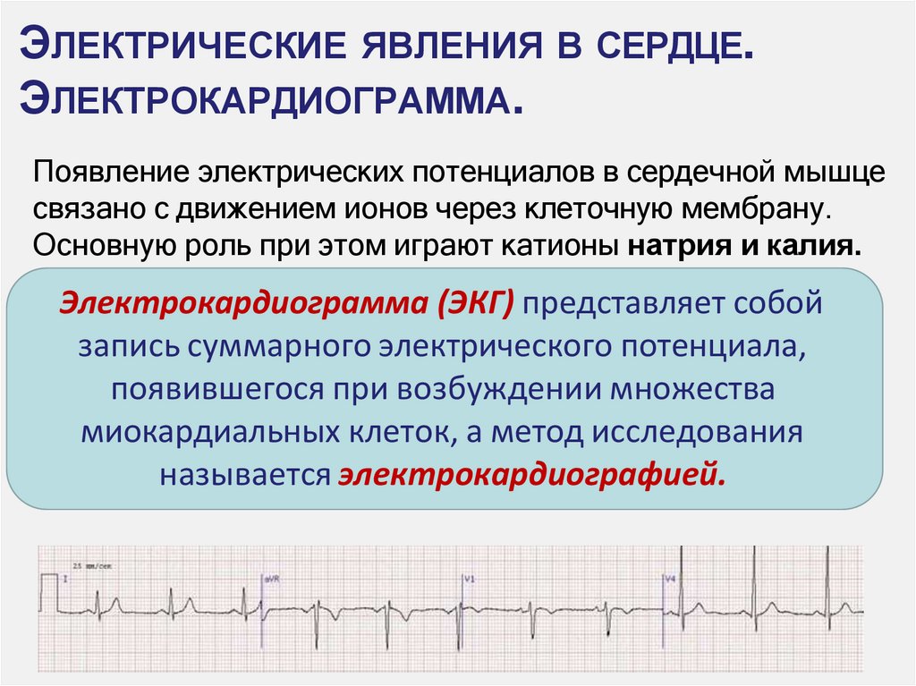 Электрические явления в сердце. Электрокардиограмма.
