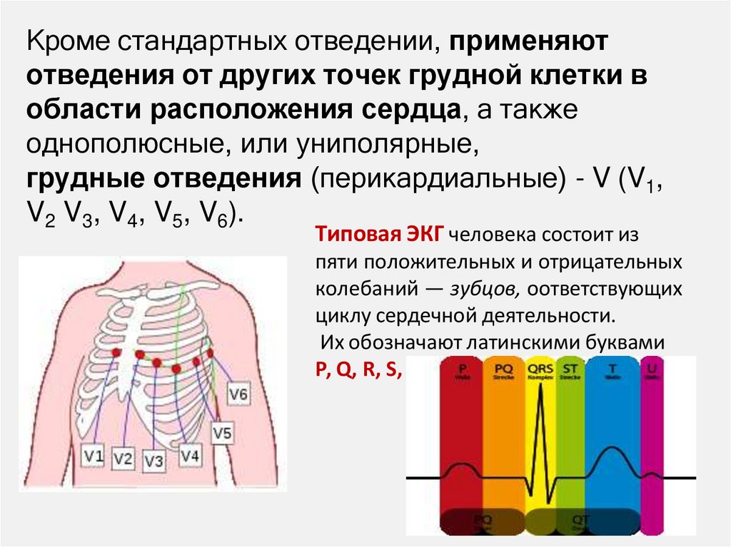 Кроме стандартных отведении, применяют отведения от других точек грудной клетки в области расположения сердца, а также