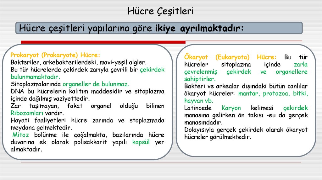 Hücre Çeşitleri