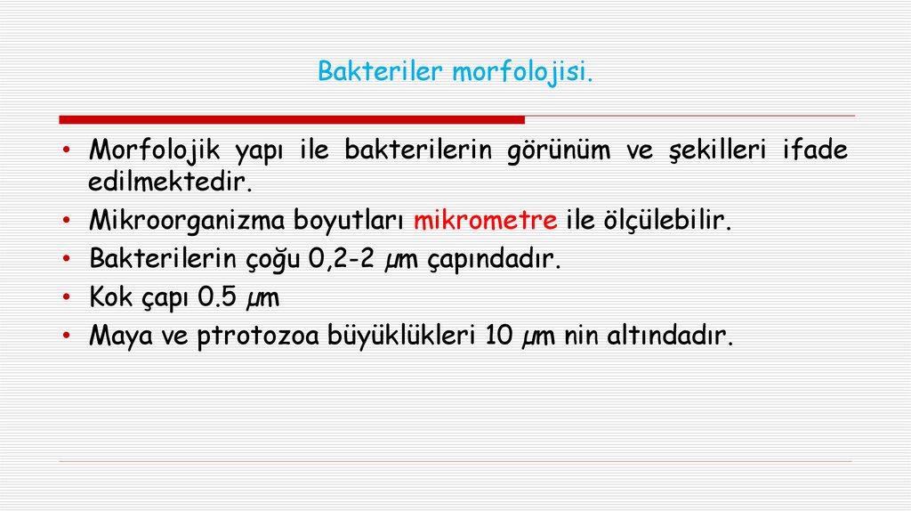 Bakteriler morfolojisi.