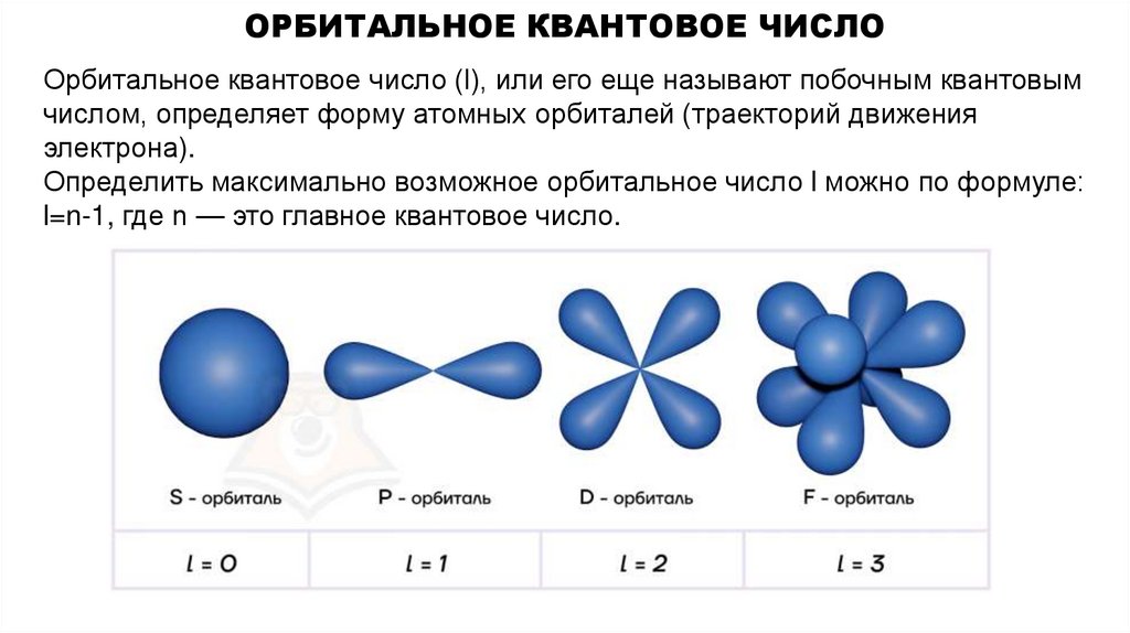 Орбитальное квантовое число