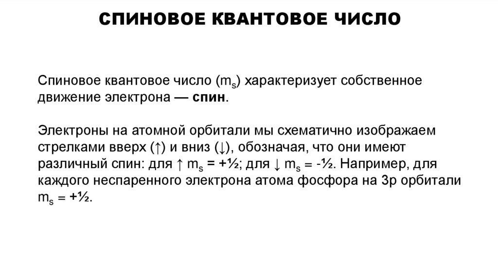 Спиновое квантовое число