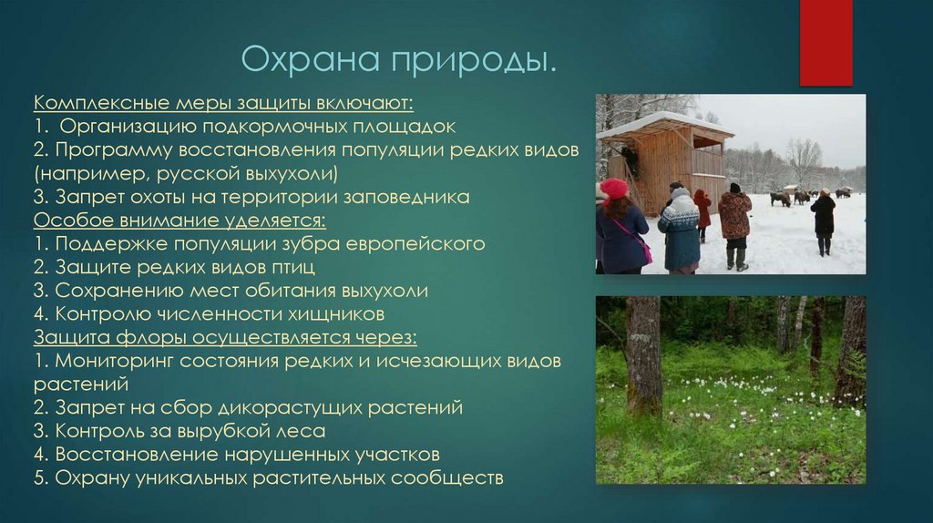 Охрана природы.