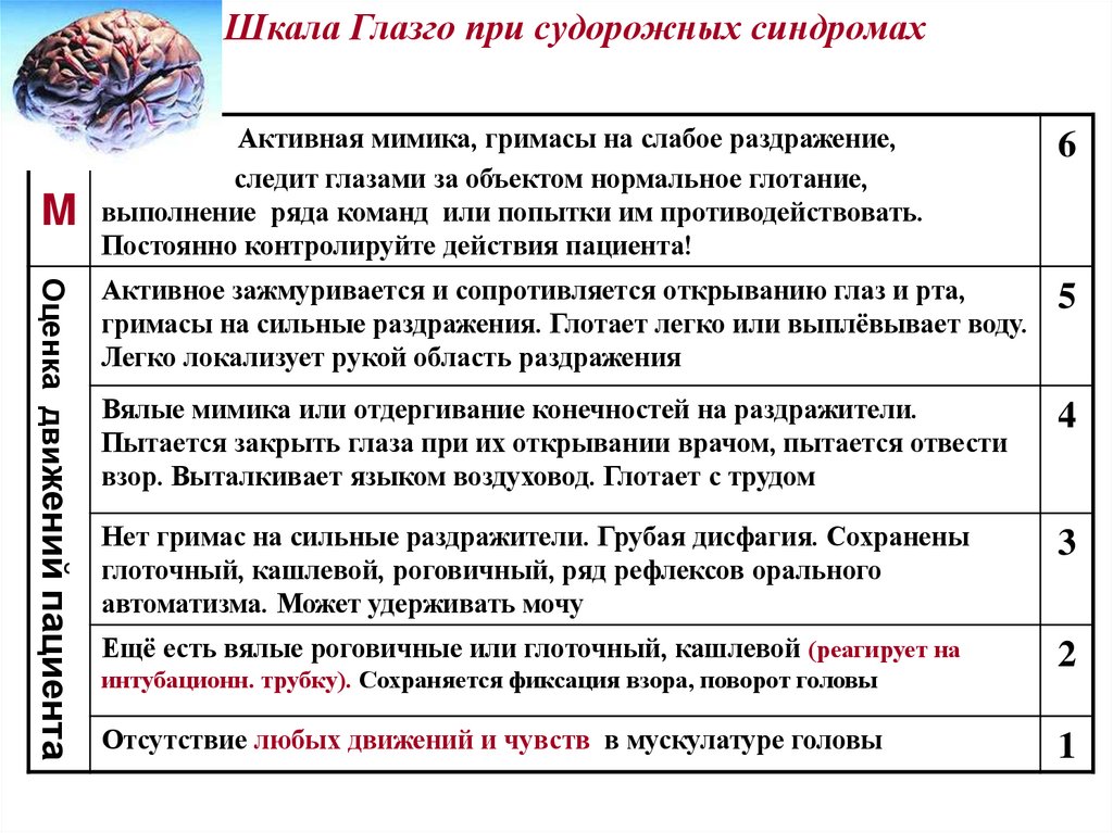 Шкала Глазго при судорожных синдромах