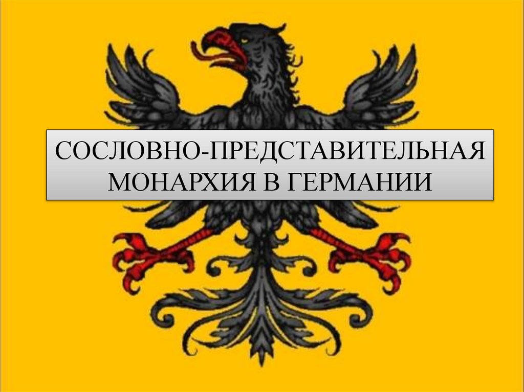 СОСЛОВНО-ПРЕДСТАВИТЕЛЬНАЯ МОНАРХИЯ В ГЕРМАНИИ