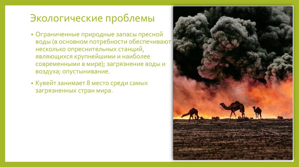 Экологические проблемы