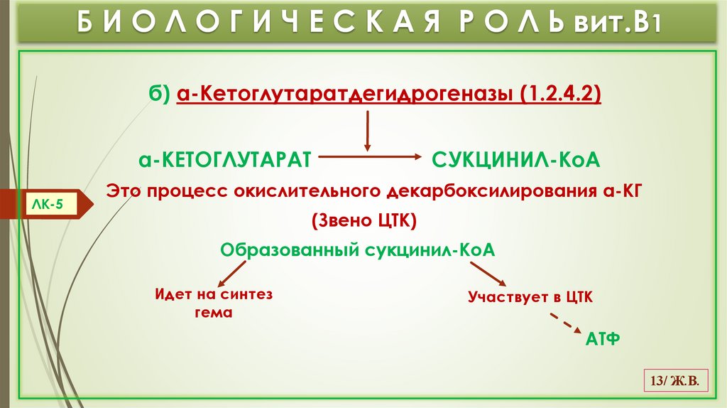 Б И О Л О Г И Ч Е С К А Я Р О Л Ь вит.В1