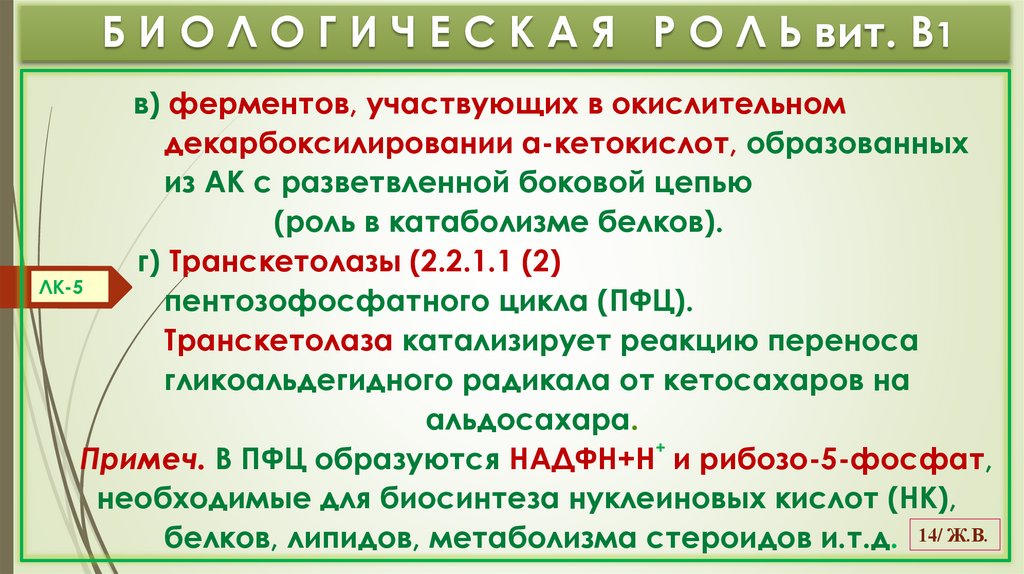 Б И О Л О Г И Ч Е С К А Я Р О Л Ь вит. В1