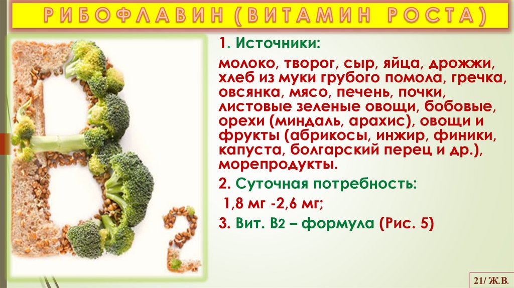 Р И Б О Ф Л А В И Н ( В И Т А М И Н Р О С Т А )