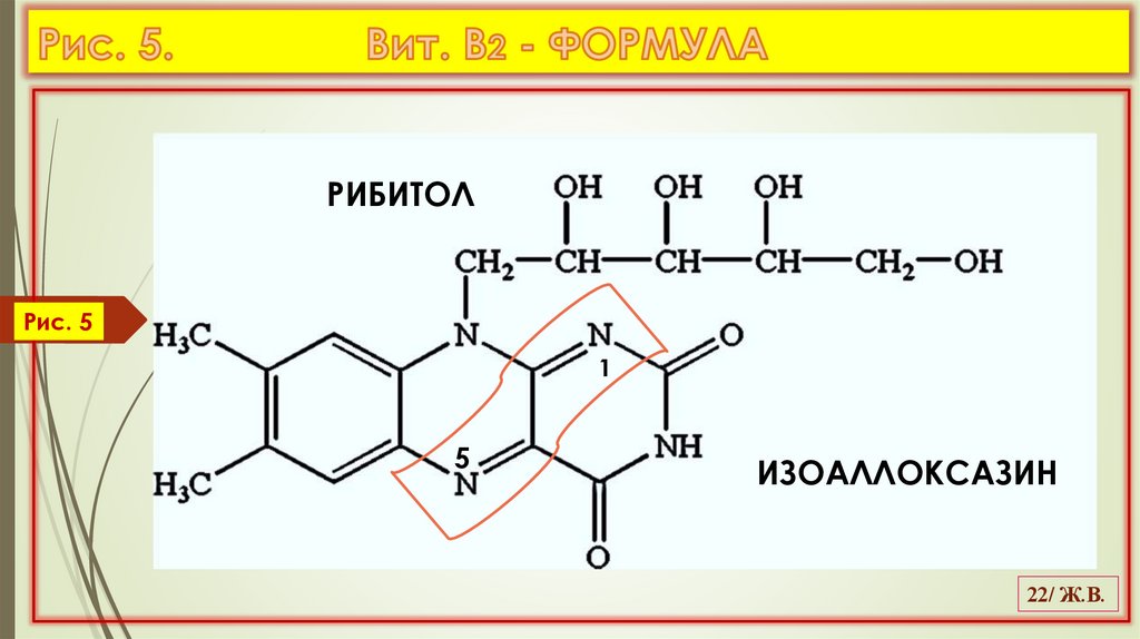 Рис. 5. Вит. В2 - ФОРМУЛА
