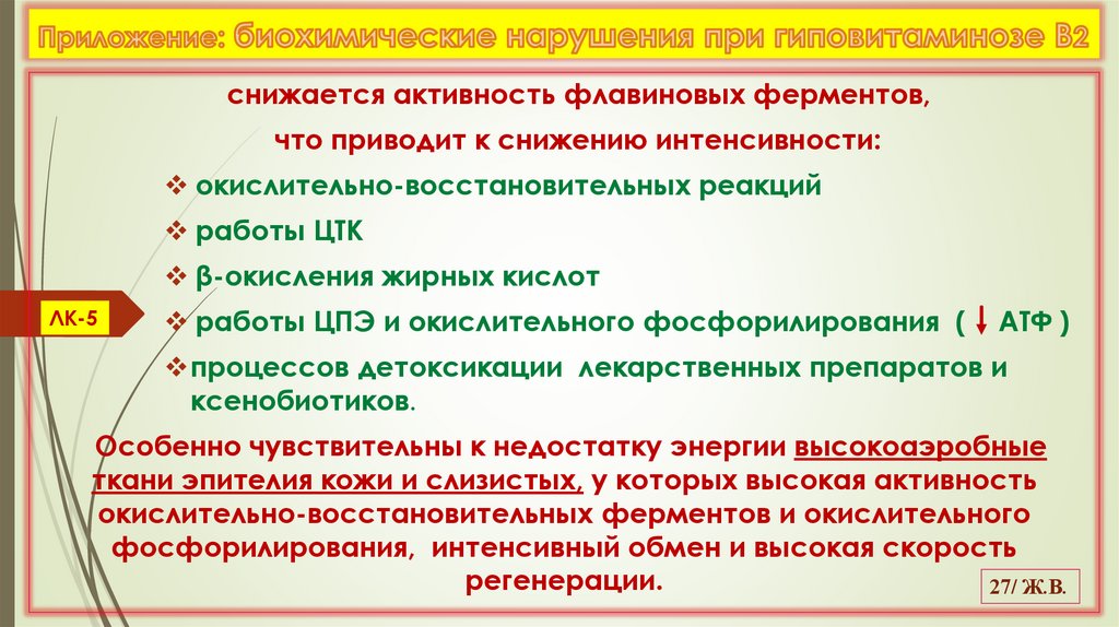 Приложение: биохимические нарушения при гиповитаминозе В2