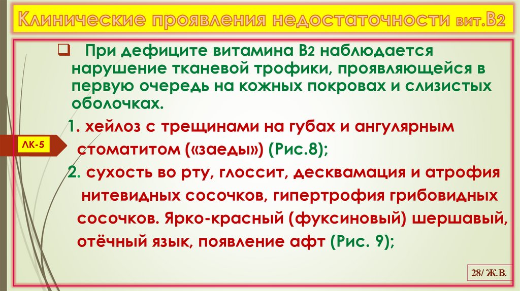 Клинические проявления недостаточности вит.В2