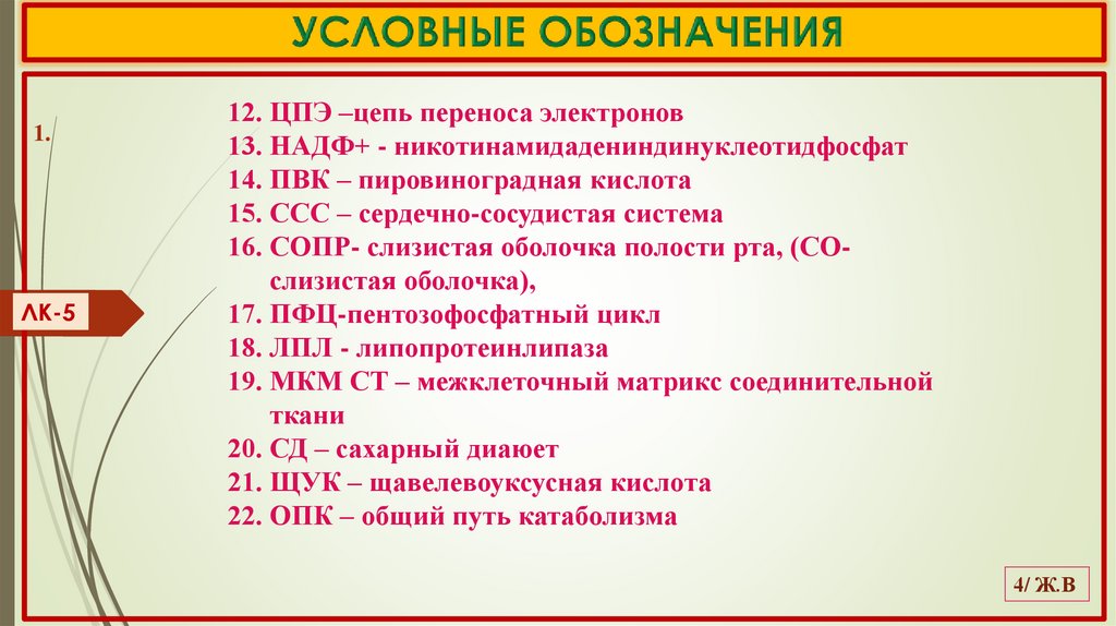 УСЛОВНЫЕ ОБОЗНАЧЕНИЯ