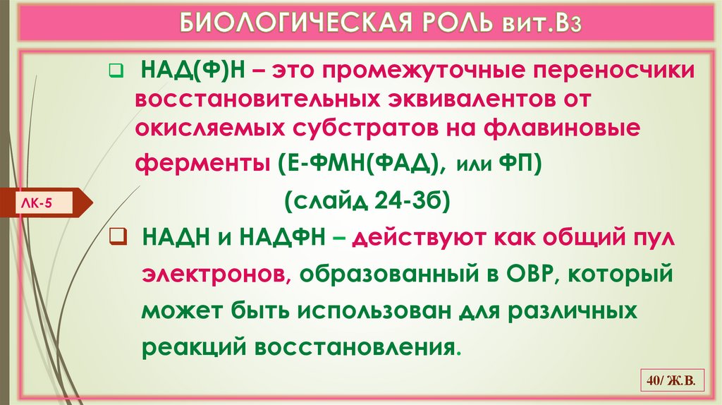 БИОЛОГИЧЕСКАЯ РОЛЬ вит.В3