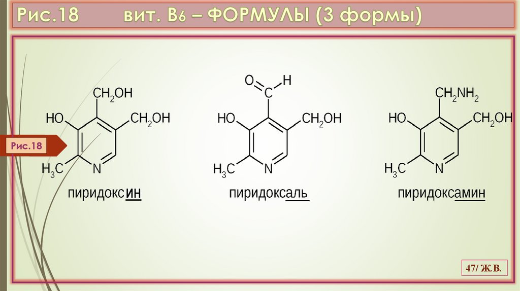 Рис.18 вит. В6 – ФОРМУЛЫ (3 формы)