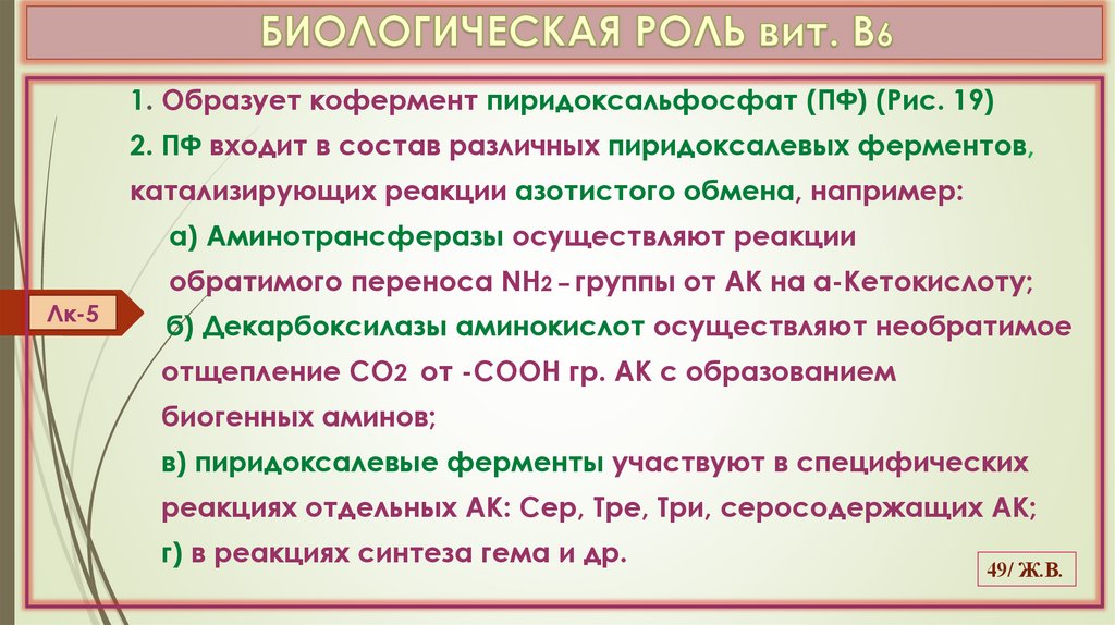 БИОЛОГИЧЕСКАЯ РОЛЬ вит. В6