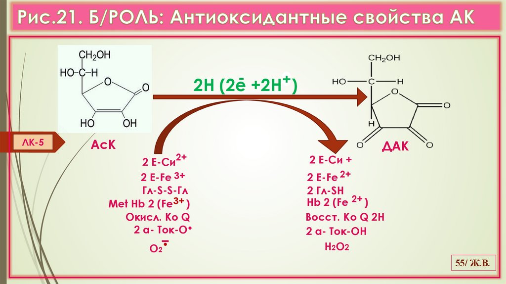 Рис.21. Б/РОЛЬ: Антиоксидантные свойства АК