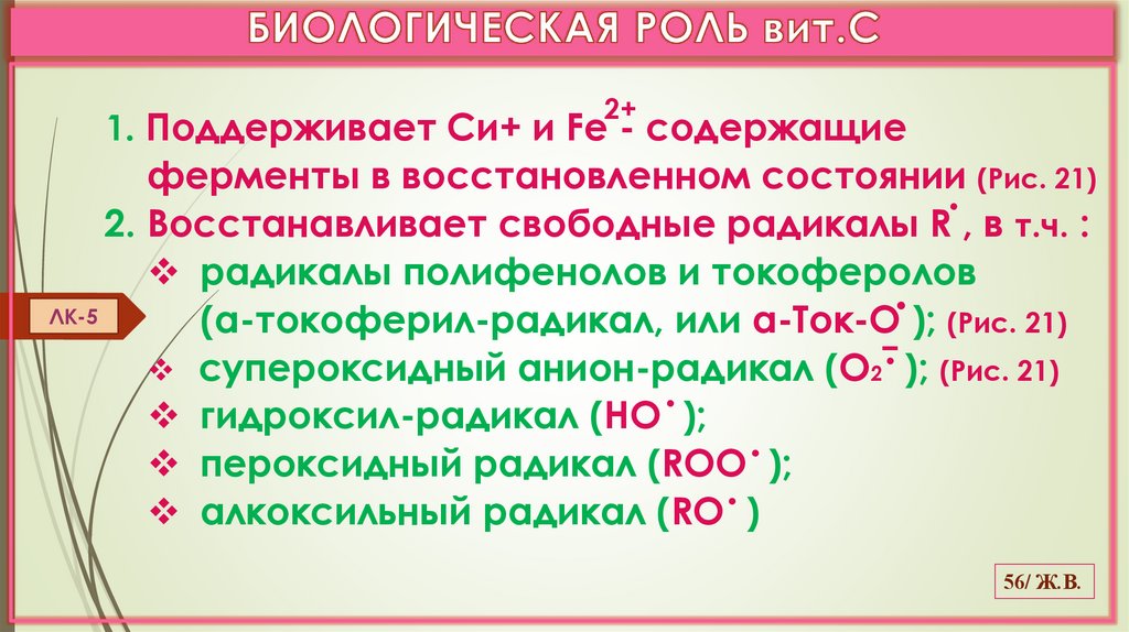 БИОЛОГИЧЕСКАЯ РОЛЬ вит.С