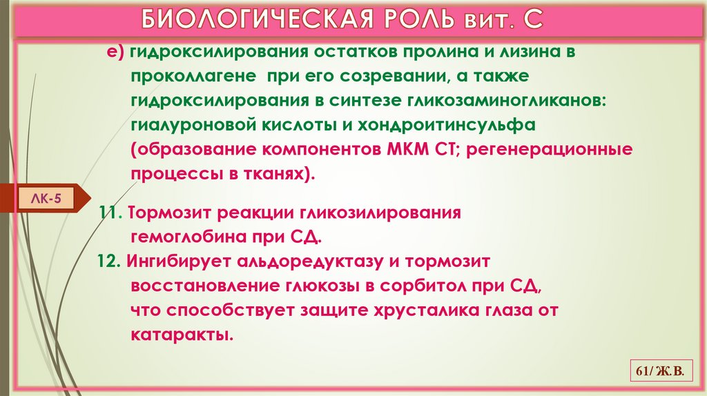 БИОЛОГИЧЕСКАЯ РОЛЬ вит. С